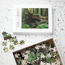 Load image into Gallery viewer, Puzzle (252, 500, 1014-piece) |"Forest Floor" Photograph by Artist Jess Alice | Redwood Forest Puzzles - Jess Alice