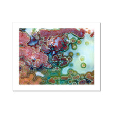 Load image into Gallery viewer, Jasper Eye Fine Art Print - Jess Alice