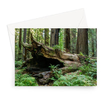 Load image into Gallery viewer, Blank Greeting Card "Forest Floor" Landscape Photograph| Artist Jess Alice - Jess Alice