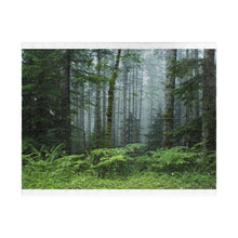 Load image into Gallery viewer, Puzzle (252/1014 piece) | Fern and Forest - Nature Scene | "Oregon Mist" Artist Jess Alice - Jess Alice