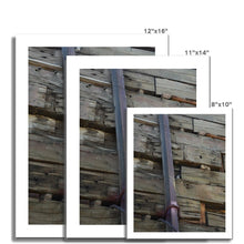 Load image into Gallery viewer, Birdy Fine Art Print - Jess Alice