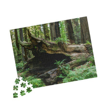 Load image into Gallery viewer, Puzzle (252, 500, 1014-piece) |"Forest Floor" Photograph by Artist Jess Alice | Redwood Forest Puzzles - Jess Alice