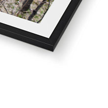 Load image into Gallery viewer, "Meadow Aspens" Framed & Mounted Fine Art Print | Artist Jess Alice - Jess Alice
