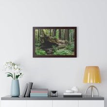 Load image into Gallery viewer, Framed Poster | "Forest Floor" | Landscape Photography | Artist Jess Alice - Jess Alice