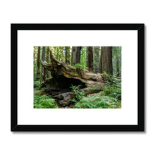 Load image into Gallery viewer, "Forest Floor" Framed & Mounted Fine Art Print | Artist Jess Alice | Redwood Forest Landscape Photography - Jess Alice