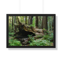 Load image into Gallery viewer, Framed Poster | "Forest Floor" | Landscape Photography | Artist Jess Alice - Jess Alice