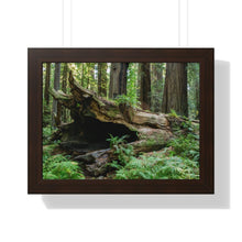 Load image into Gallery viewer, Framed Poster | "Forest Floor" | Landscape Photography | Artist Jess Alice - Jess Alice