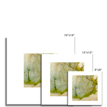 Load image into Gallery viewer, Spring Rock Fine Art Print - Jess Alice