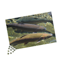 Load image into Gallery viewer, 3 Rainbow Trout Fish Swimming Puzzle ( 252, 500, 1014-piece) |Photograph by Artist Jess Alice - Jess Alice