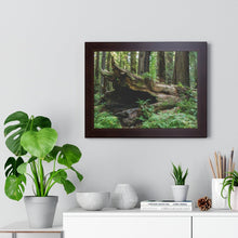 Load image into Gallery viewer, Framed Poster | "Forest Floor" | Landscape Photography | Artist Jess Alice - Jess Alice