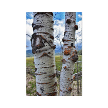 Load image into Gallery viewer, Meadow Aspens Fine Art Print - Jess Alice