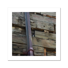 Load image into Gallery viewer, Birdy Fine Art Print - Jess Alice