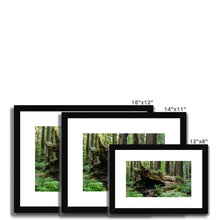 Load image into Gallery viewer, "Forest Floor" Framed & Mounted Fine Art Print | Artist Jess Alice | Redwood Forest Landscape Photography - Jess Alice