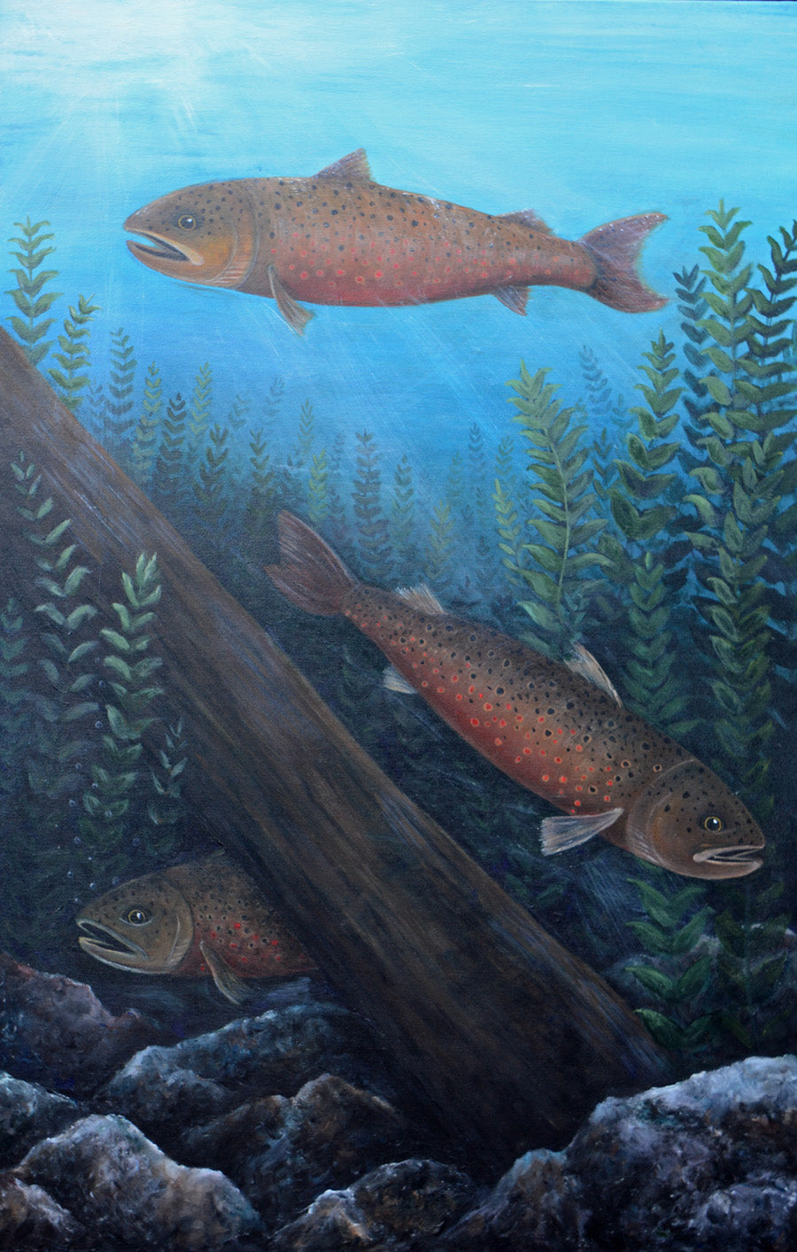 3 Brown Trout Original Acrylic on Canvas | Painting by Artist Jess Alice