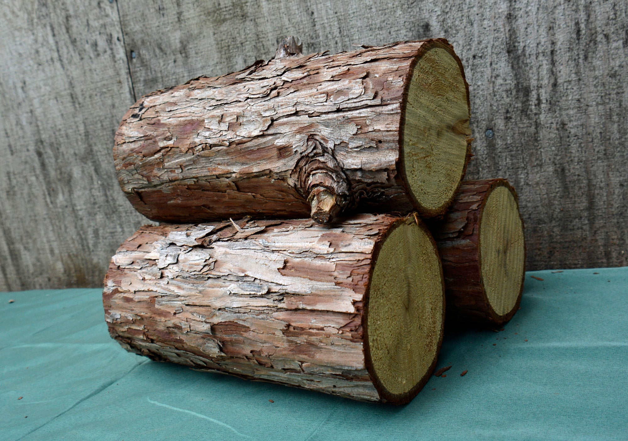 California Timber 100% Natural Raw California Cedar Logs - Set of 3 – Jess Alice