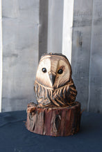 Load image into Gallery viewer, 8"x5" Chainsaw Carved Owl Sculpture on Base
