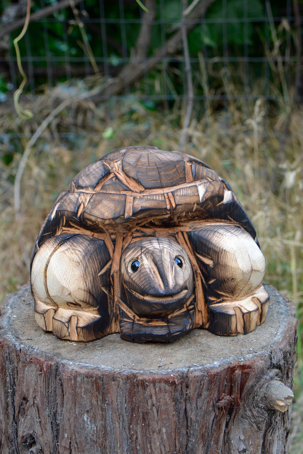 Chainsaw Carved Tortoise Wood Sculpture | Raw California Cedar | One-Of-A-Kind Original Turtle Artwork | Artist & Carver Jess Alice