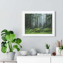 Load image into Gallery viewer, Framed Poster | &quot;Oregon Mist&quot; | Landscape Photography | Artist Jess Alice - Jess Alice
