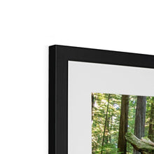 Load image into Gallery viewer, &quot;Forest Floor&quot; Framed &amp; Mounted Fine Art Print | Artist Jess Alice | Redwood Forest Landscape Photography - Jess Alice

