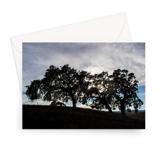 Oak 101 Blank Greeting Card | Jess Alice Artist - Jess Alice