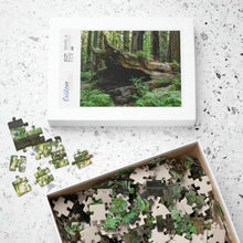 Load image into Gallery viewer, Puzzle (252, 500, 1014-piece) |&quot;Forest Floor&quot; Photograph by Artist Jess Alice | Redwood Forest Puzzles - Jess Alice
