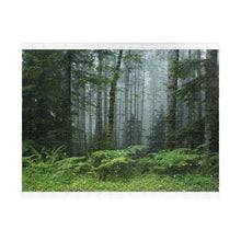 Load image into Gallery viewer, Puzzle (252/1014 piece) | Fern and Forest - Nature Scene | &quot;Oregon Mist&quot;  Artist Jess Alice - Jess Alice
