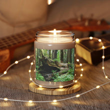 Load image into Gallery viewer, 100% Natural Soy Blend Wax Scented Candle 9oz |   | &quot;Forest Floor&quot; Artist Jess Alice - Jess Alice
